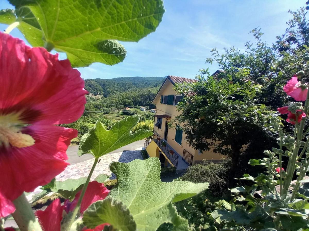 La Valle Fiorita Soviore Exterior photo
